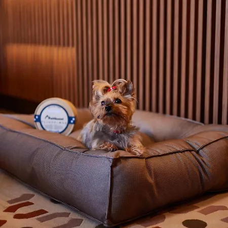 Grand Central, Small Luxury
