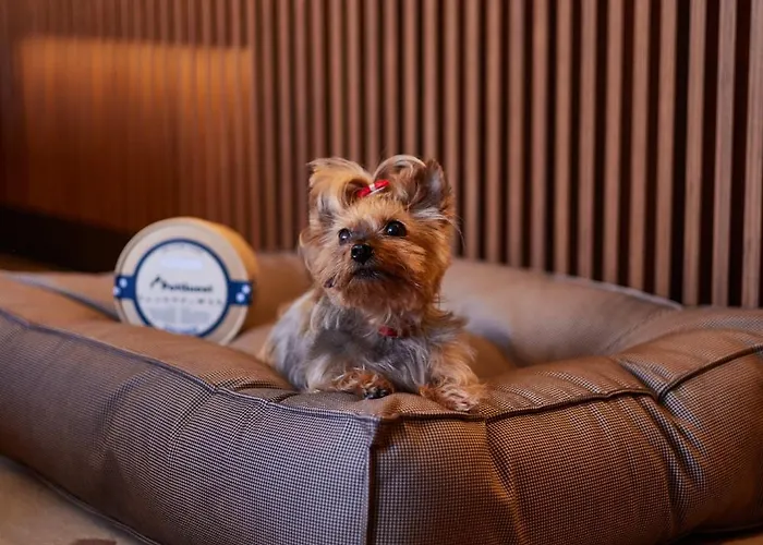 Grand Central, Small Luxury